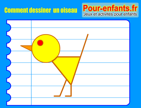 Apprendre à dessiner un oiseau. Comment dessiner un oiseau par étapes.