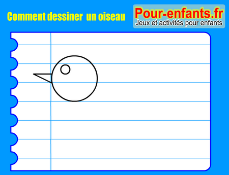 Apprendre à dessiner un oiseau. Comment dessiner un oiseau par étapes.